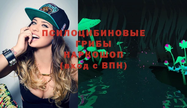 скорость Алзамай