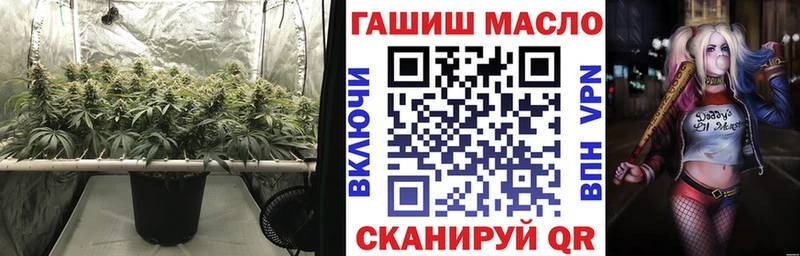 MEGA ссылка  Юрьев-Польский  ТГК Wax 