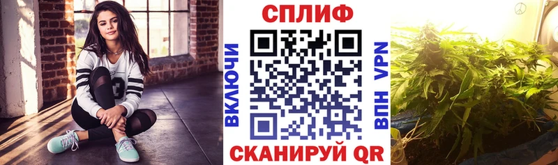 Каннабис сатива  наркотики  Юрьев-Польский 